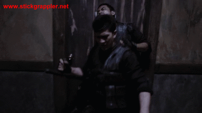 RaidRedemption-1e-sg