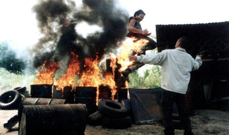 stunts-ongbak-590x350