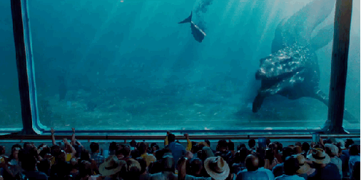 GIF_jurassic_world_global_trailer_8